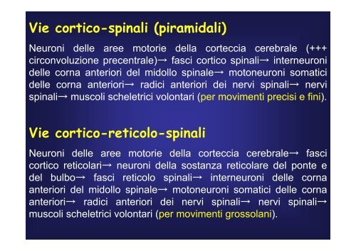 cellule - Fisiokinesiterapia.biz