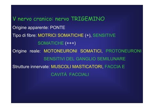 cellule - Fisiokinesiterapia.biz