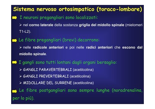 cellule - Fisiokinesiterapia.biz