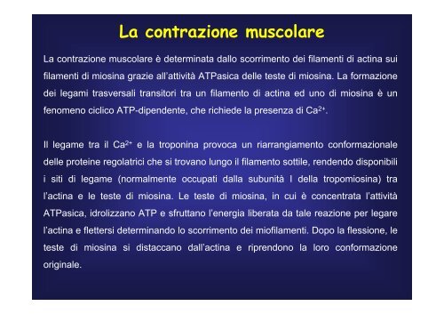 cellule - Fisiokinesiterapia.biz