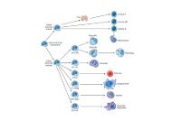 Diapositive delle lezioni di medicina di laboratorio