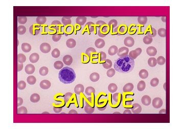 Fisiopatologia del SANGUE - Eritrociti