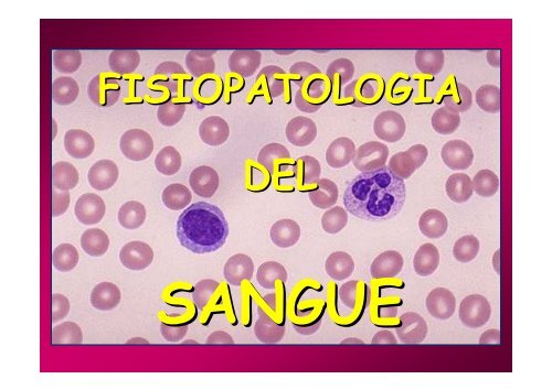 Fisiopatologia del SANGUE - Eritrociti