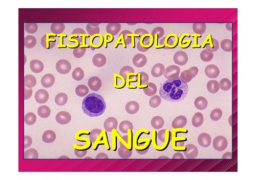 Fisiopatologia del SANGUE 1