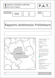 Rapporto Ambientale Preliminare - Comune di Concordia Sagittaria