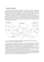 I REGNI VIVENTI - Facoltà di Agraria