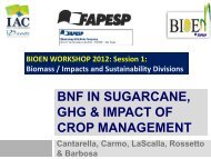 bnf in sugarcane, ghg & impact of crop management - Fapesp