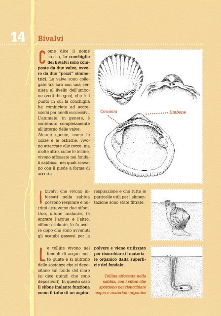 Chi arriva a riva - Istituto Pangea