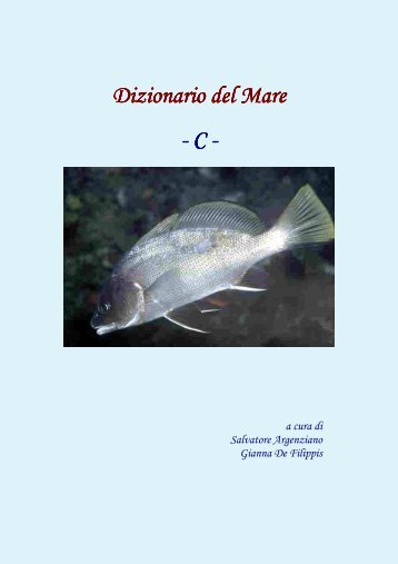 Dizionario del Mare Dizionario del Mare - C - Vesuvioweb