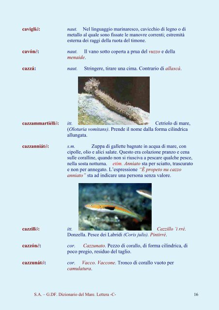 Dizionario del Mare Dizionario del Mare - C - Vesuvioweb