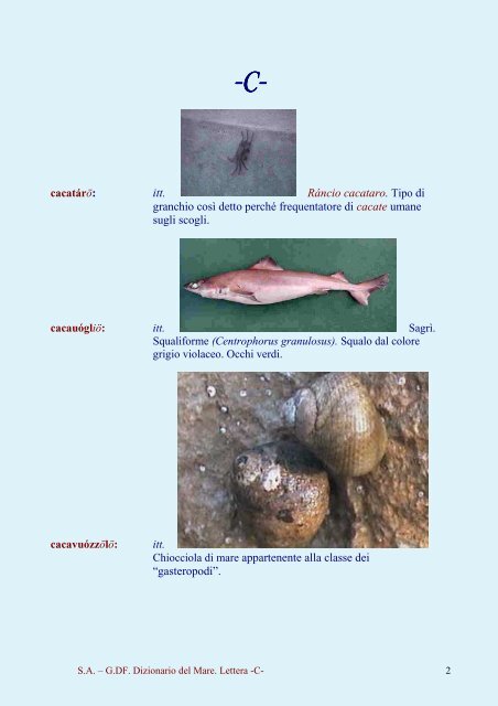 Dizionario del Mare Dizionario del Mare - C - Vesuvioweb