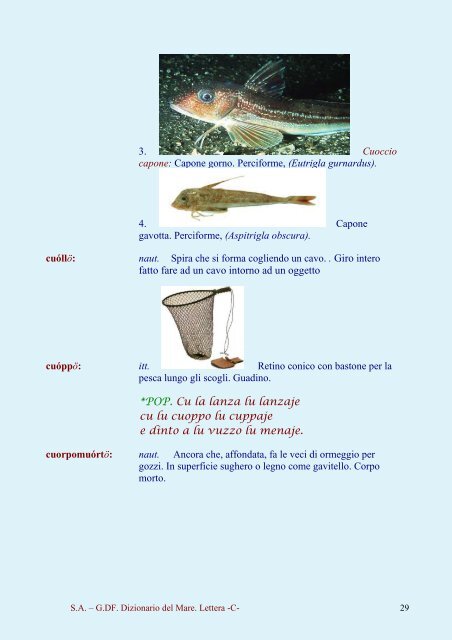 Dizionario del Mare Dizionario del Mare - C - Vesuvioweb