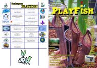 PlayFish Numero 9 Versione pdf per la stampa a libretto - (file ... - GAF