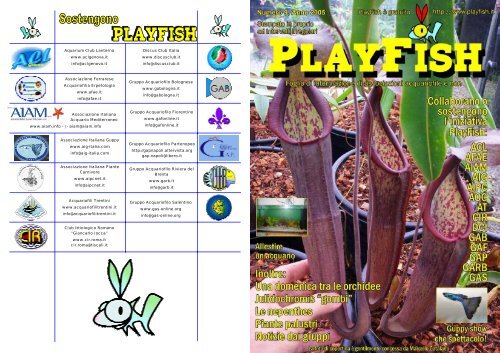 PlayFish Numero 9 Versione pdf per la stampa a libretto - (file ... - GAF