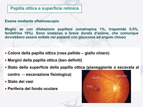 Nervo ottico e vie ottiche - Studio Oculistico dott. Amedeo Lucente