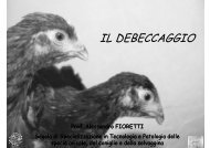 IL DEBECCAGGIO - Spacs.unina.it