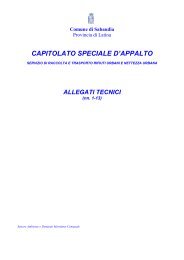 ALLEGATI CAPITOLATO.pdf - Comune di Sabaudia