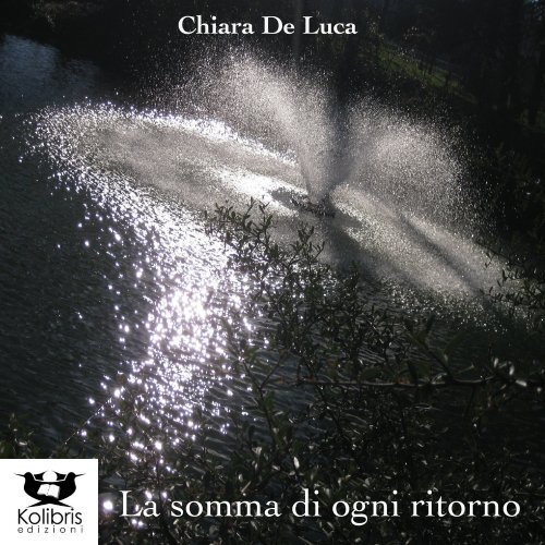 La somma di ogni ritorno - Chiara De Luca