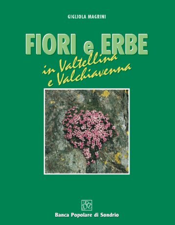 L'elleboro, fiore della saggezza - Banca Popolare di Sondrio