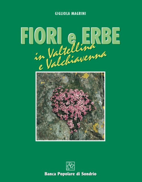 L'elleboro, fiore della saggezza - Banca Popolare di Sondrio