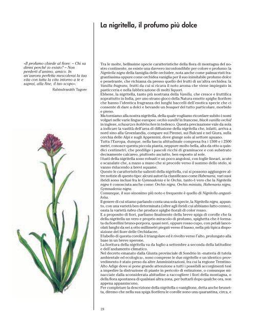 L'elleboro, fiore della saggezza - Banca Popolare di Sondrio