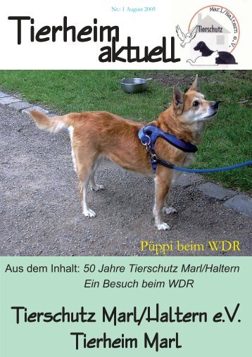 Tierheim aktuell Nr. 1 vom August 2005 - Tierschutzverein Marl ...