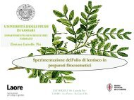 La sperimentazione dell'olio di lentisco in fitocosmesi