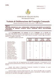 Verbale di Deliberazione del Consiglio Comunale - Comune di ...