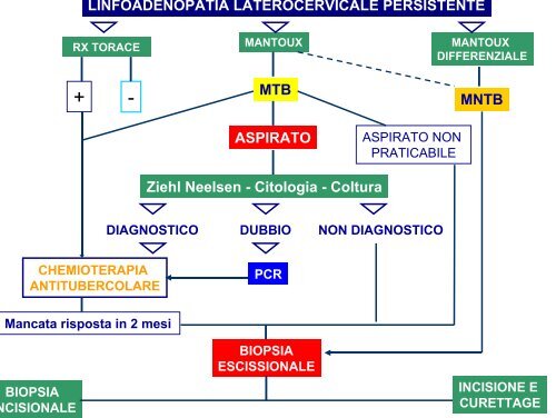 Alfredo Guarino pdf - Sipps