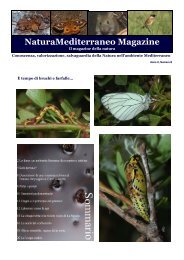 NaturaMediterraneo Magazine