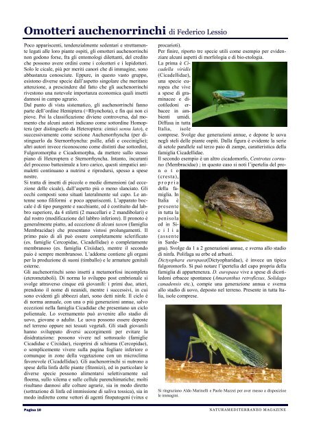 NaturaMediterraneo Magazine