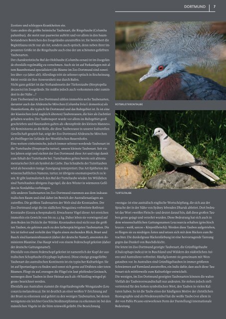 TierSchutzMagazin NR. 12 hier als PDF-Datei öffnen oder speichern.