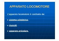 Apparato locomotore e traumi