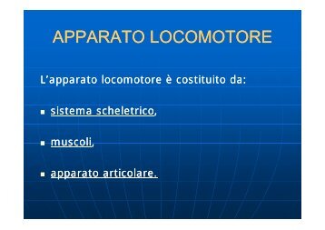 Apparato locomotore e traumi