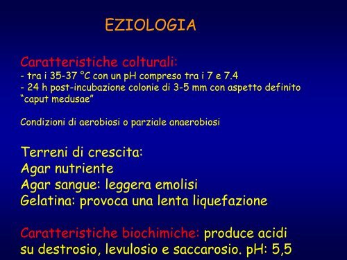 carbonchio ematico