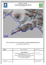 R08b-RELAZIONE RISCHIO ALLUVIONI_bacino Solofrana.pdf