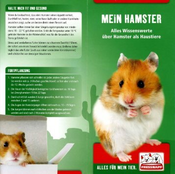 Wissenswertes über Hamster als Haustier - Tierzentrum-Franken