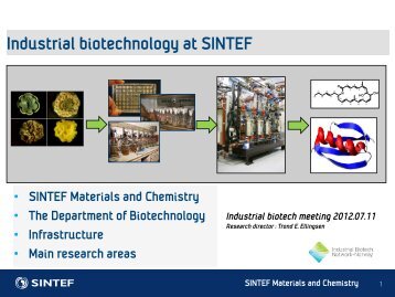 Trond E. EllingsenIBNW 11 June 12 SINTEF.pdf - Norwegian ...