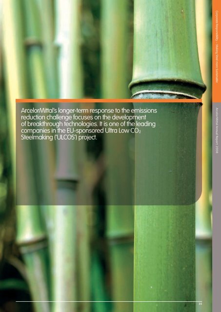 ArcelorMittal Annual Report 2008