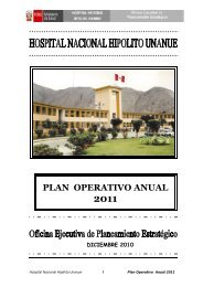POA 2011 - Hospital Nacional Hipólito Unanue