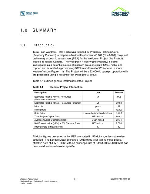 Wellgreen Project Preliminary Economic Assessment ... - OTCIQ.com