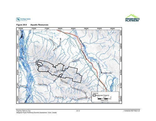 Wellgreen Project Preliminary Economic Assessment ... - OTCIQ.com