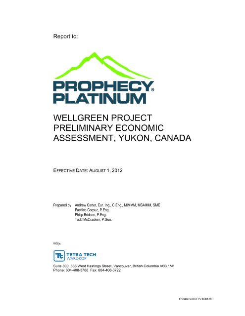 Wellgreen Project Preliminary Economic Assessment ... - OTCIQ.com
