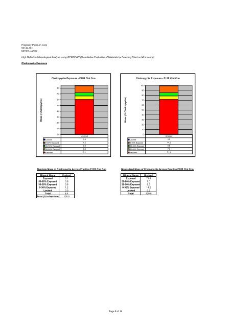 Wellgreen Project Preliminary Economic Assessment ... - OTCIQ.com