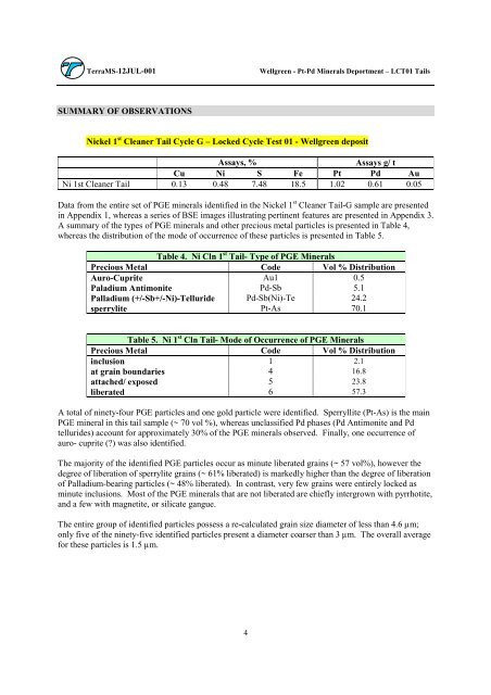 Wellgreen Project Preliminary Economic Assessment ... - OTCIQ.com