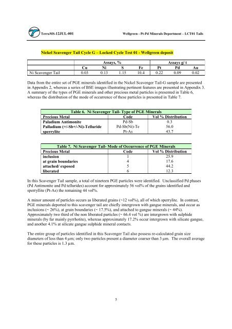 Wellgreen Project Preliminary Economic Assessment ... - OTCIQ.com