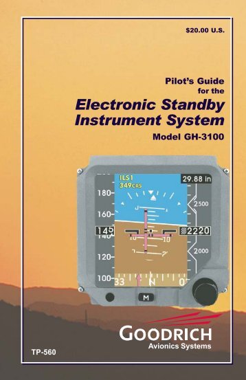 Electronic Standby Instrument System - Silvio Pini