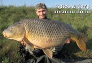 Spice & Carp un anno dopo / Mattia Travasoni / 2.5Mb - K-Karp