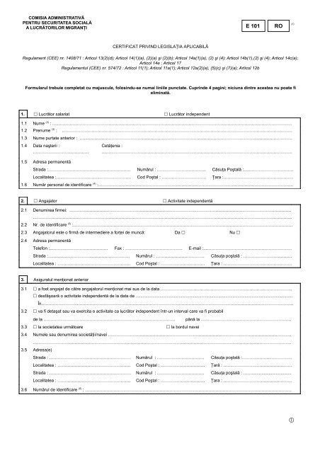 E 101 formular