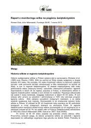 Raport z monitoringu wilka na pogórzu świętokrzyskim